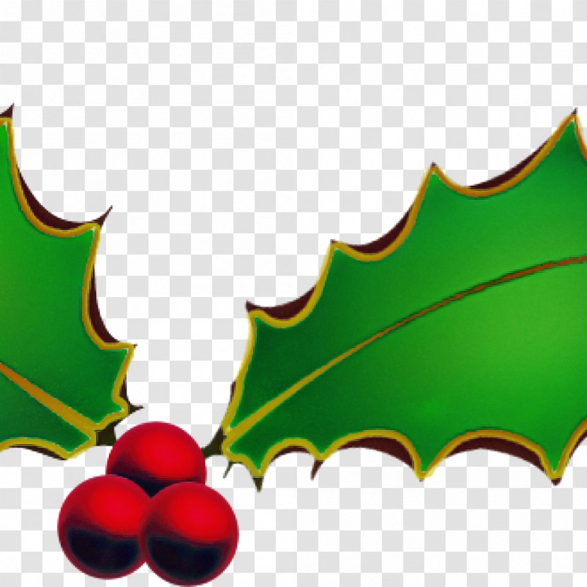 Holly - Hollyleaf Cherry - Plane Woody Plant Transparent PNG