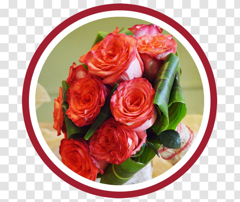 Garden Roses Floral Design Cut Flowers Flower Bouquet - Rose Family Transparent PNG