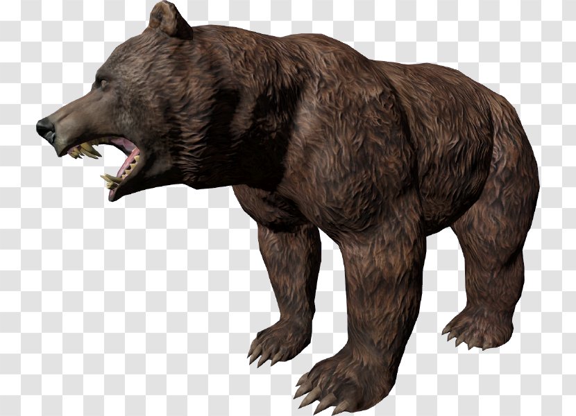 Grizzly Bear American Black DayZ Asian Elephant Transparent PNG