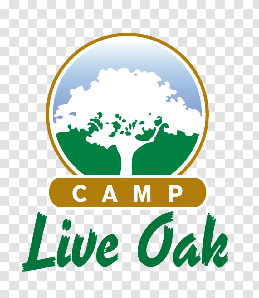 Fort Lauderdale Camp Live Oak Summer Day - Text Transparent PNG