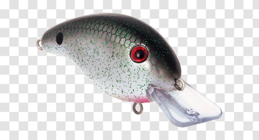 Spoon Lure Fish AC Power Plugs And Sockets - Fishing - Northern Pike Transparent PNG