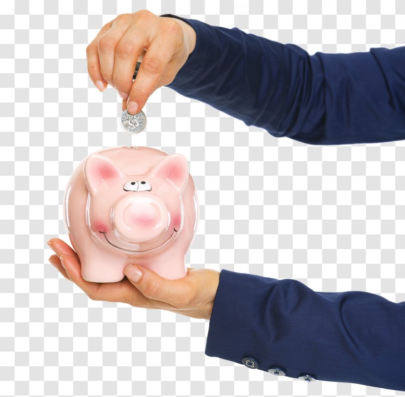 Piggy Bank Coin Money Saving Transparent PNG