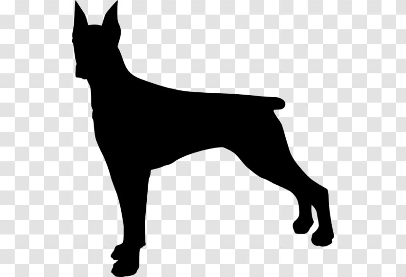 Dobermann Poodle German Shepherd Clip Art - Dog Breed - Silhouette Transparent PNG