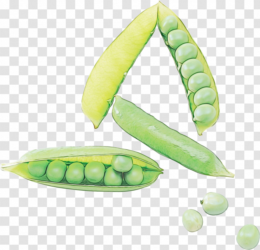 Pea Vegetable Plant Legume Lima Bean Transparent PNG