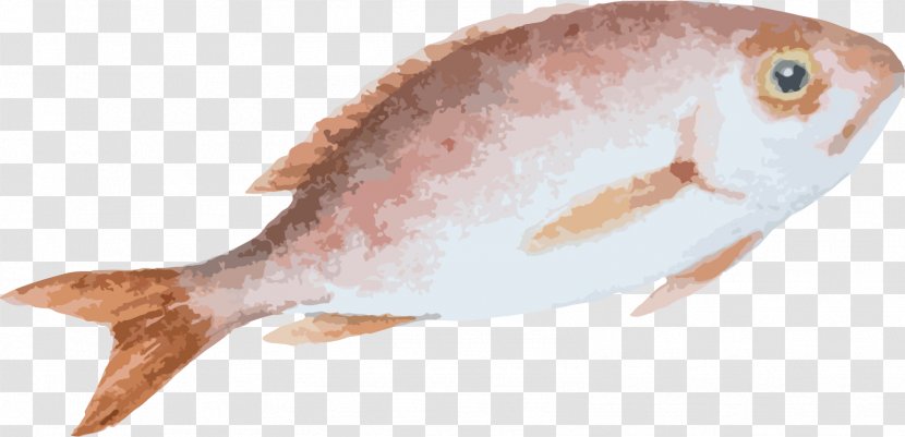 Fish Cartoon Drawing - Products - Hand Painted Material Transparent PNG