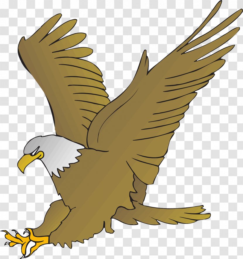 Bald Eagle Cartoon Drawing Clip Art - Wing Transparent PNG
