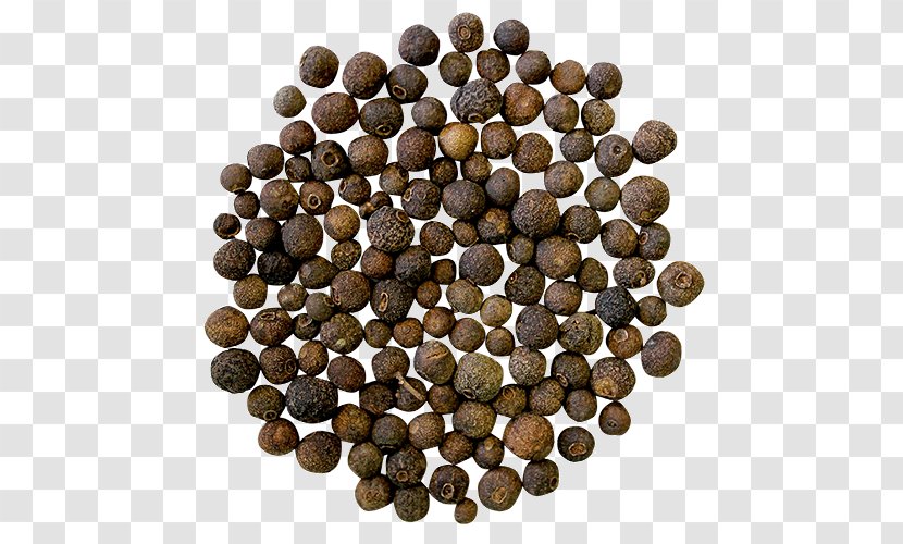 Allspice - Seed Transparent PNG