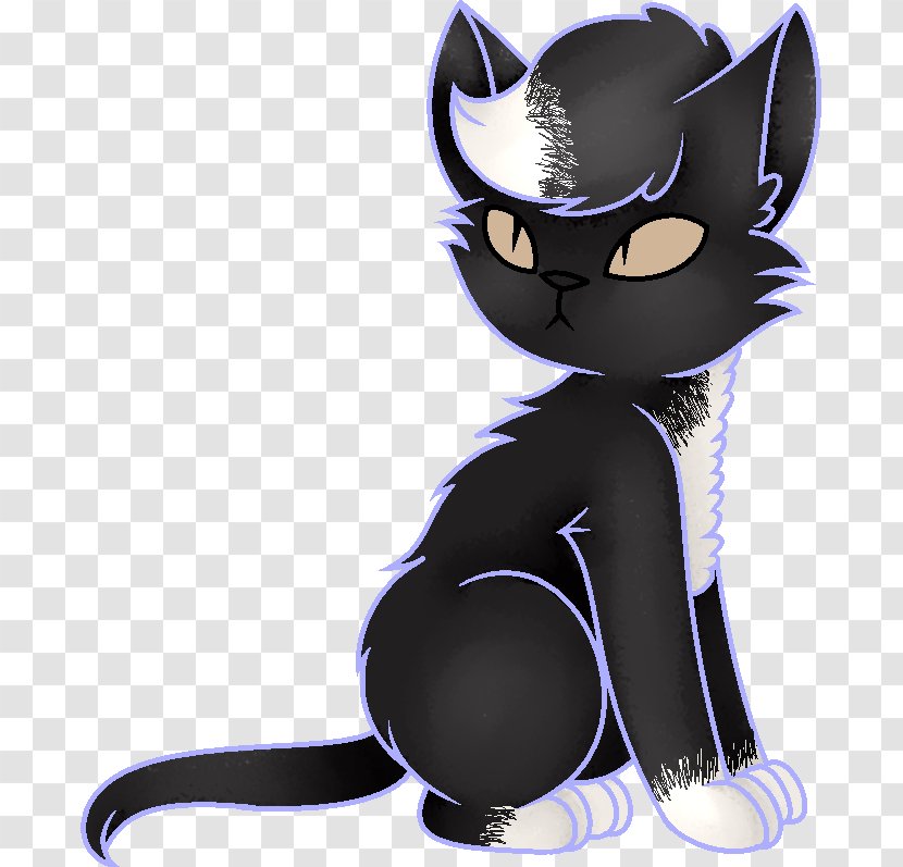 Black Cat Kitten Whiskers Horse - Frame Transparent PNG