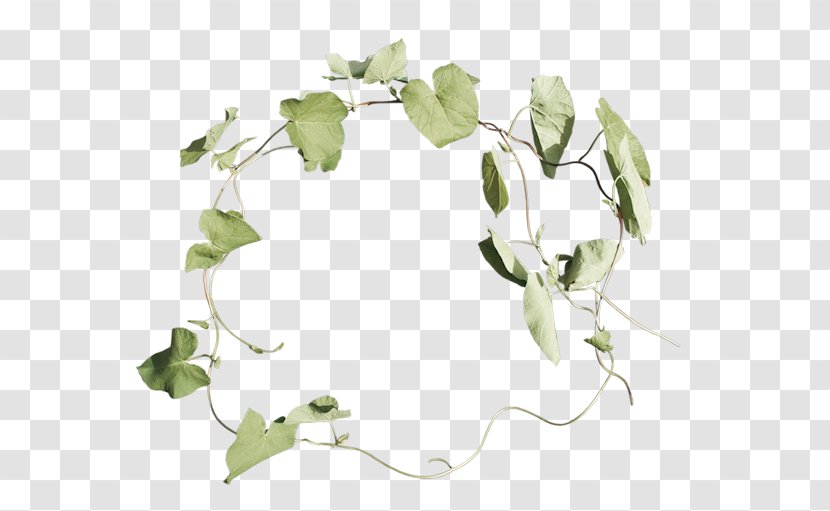 Twig Leaf Flower Floral Design - Wreath Transparent PNG