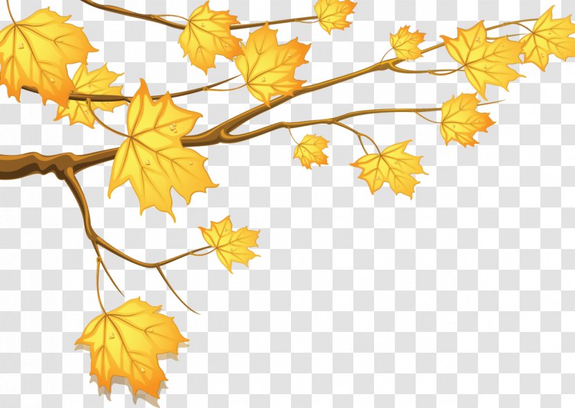 Eleven Minutes Manushyanu Oru Aamukham Rain - Branch - Autumn Leaves Transparent PNG