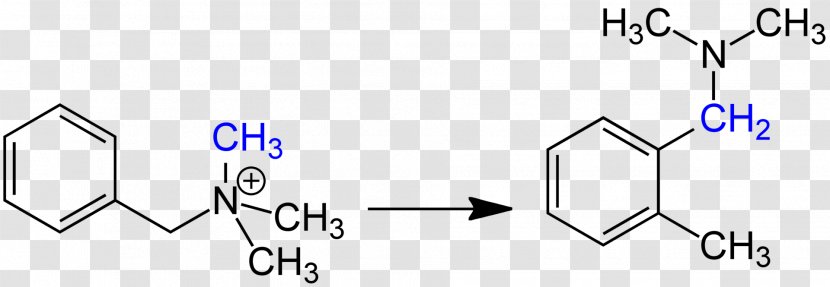 Organic Chemistry Methylene Group Molecule Alkene - Area - Trailworks Hauser Rhyner Transparent PNG