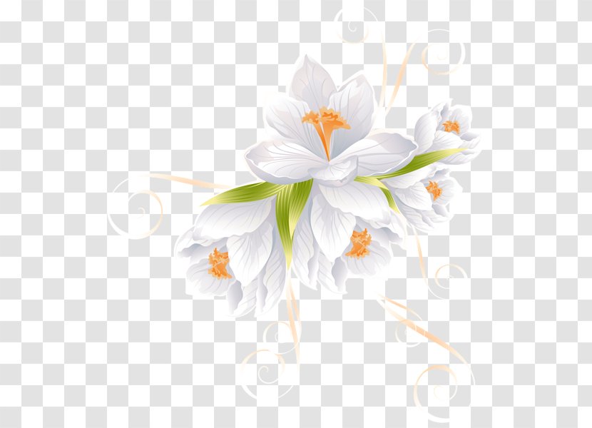 Flower White Lilium Clip Art - Blue Transparent PNG