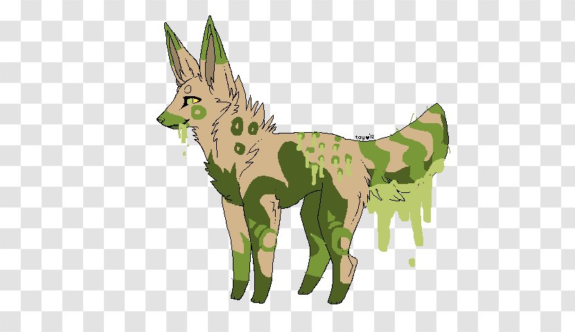 Coyote Horse Deer Illustration Fauna - Mammal - Butter Slime Transparent PNG