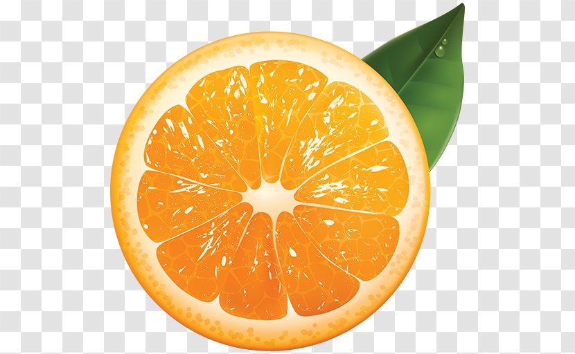 Orange Juice Grapefruit - Bitter Transparent PNG