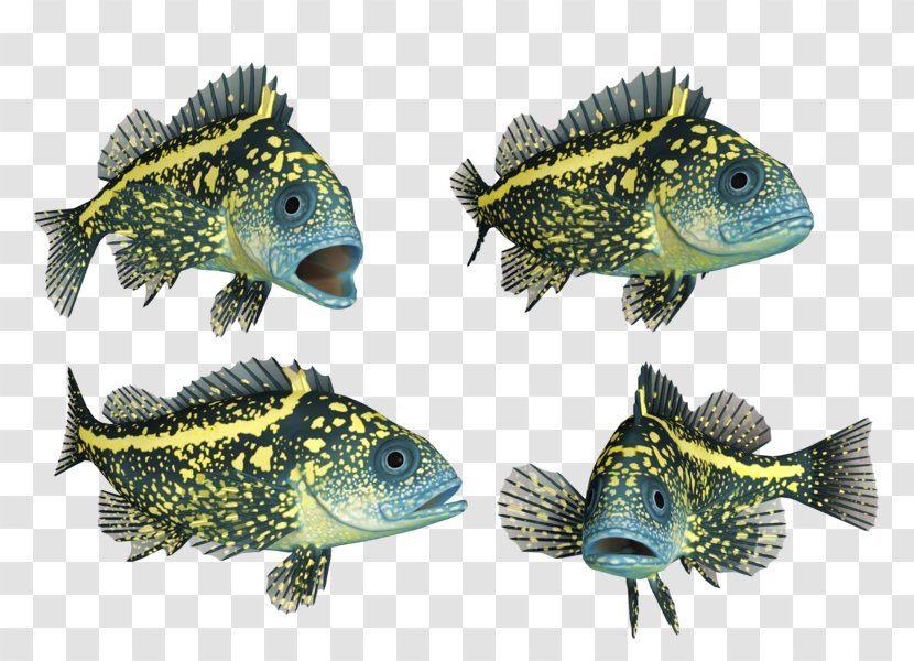 Deep Sea Fish - Organism Transparent PNG