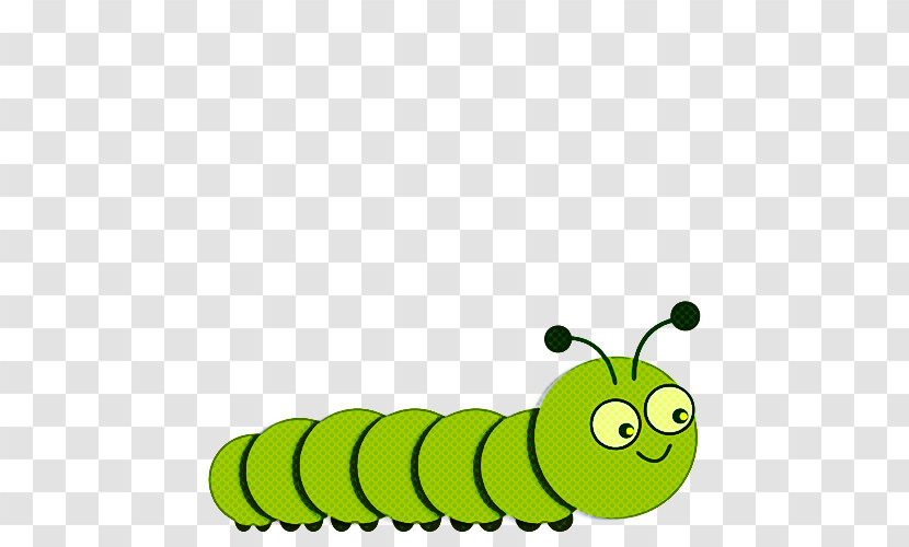 Caterpillar Insect Green Larva Moths And Butterflies Transparent PNG