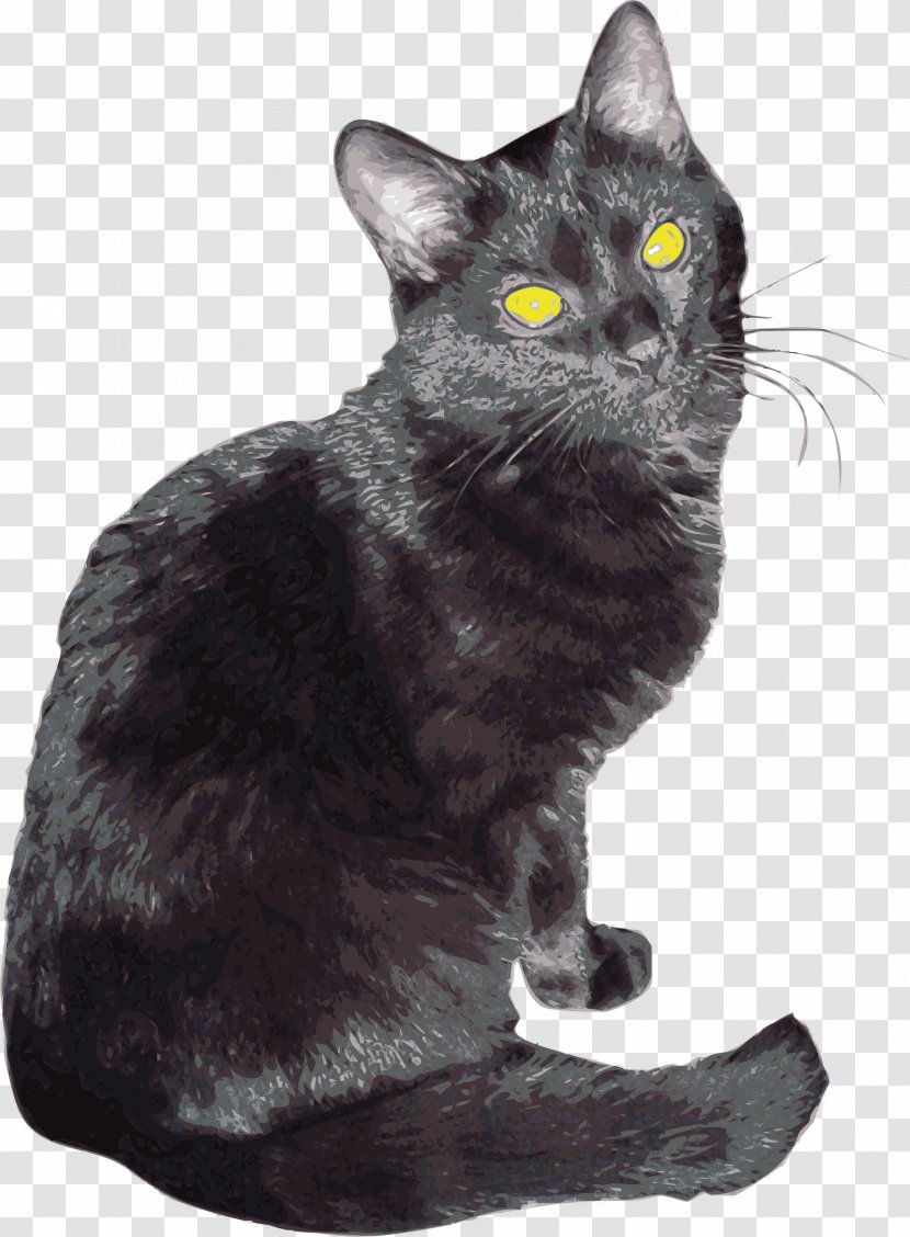 American Shorthair Bombay Cat Korat Chartreux European - Domestic Shorthaired - Sherlock Transparent PNG