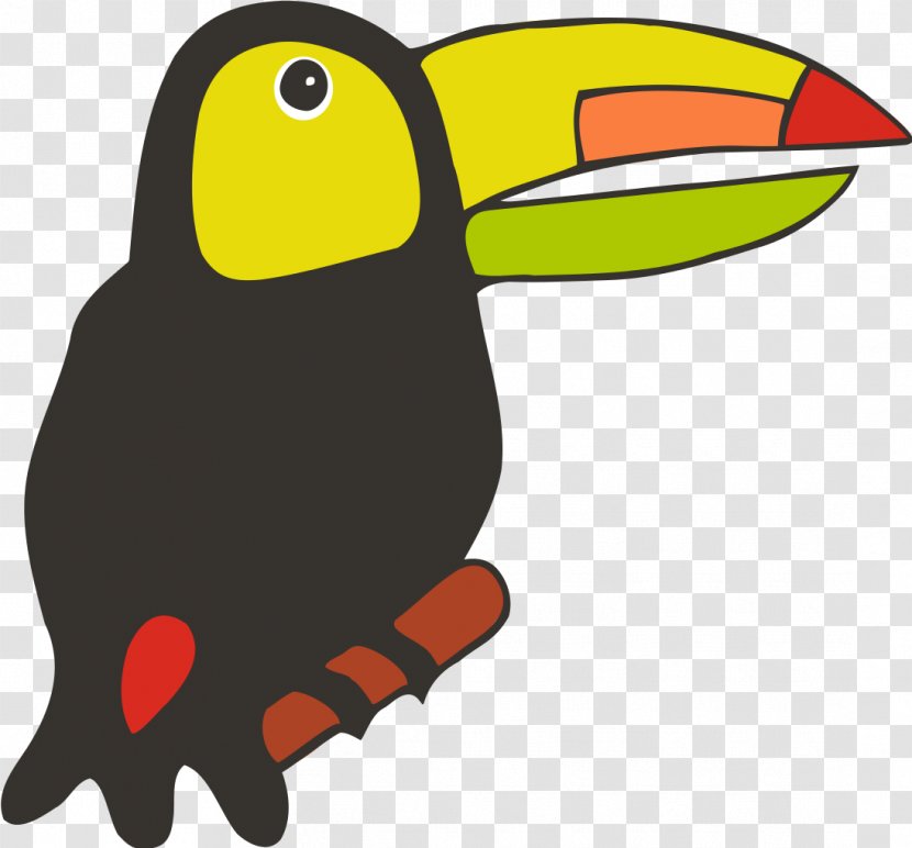 Bird Parrot Toucan - Animal Transparent PNG