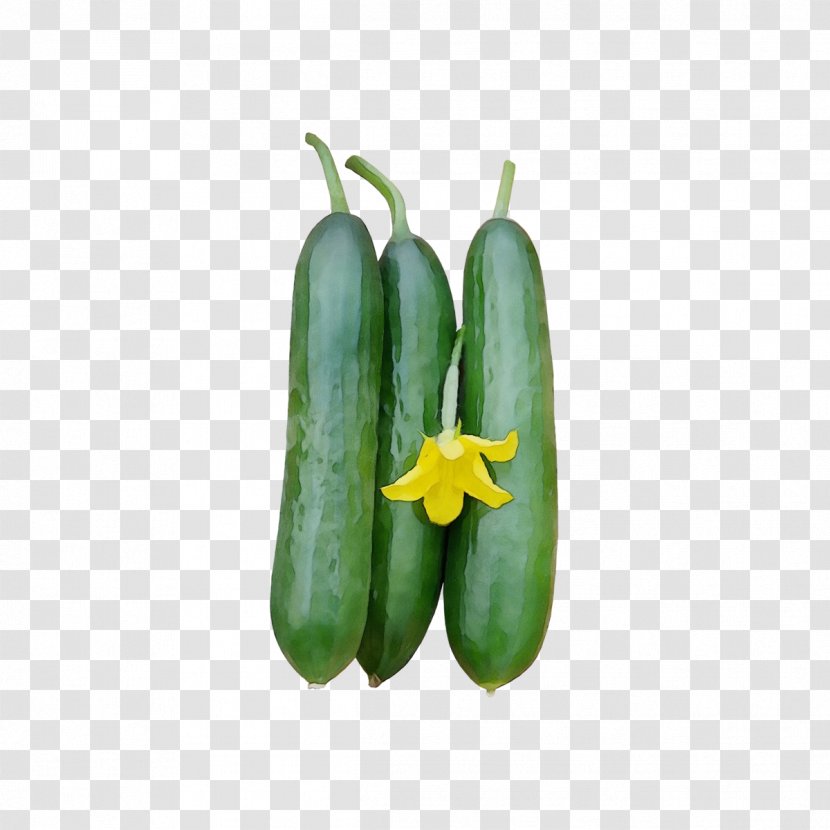 Flowering Plant Vegetable Bell Peppers And Chili Yellow - Flower Food Transparent PNG