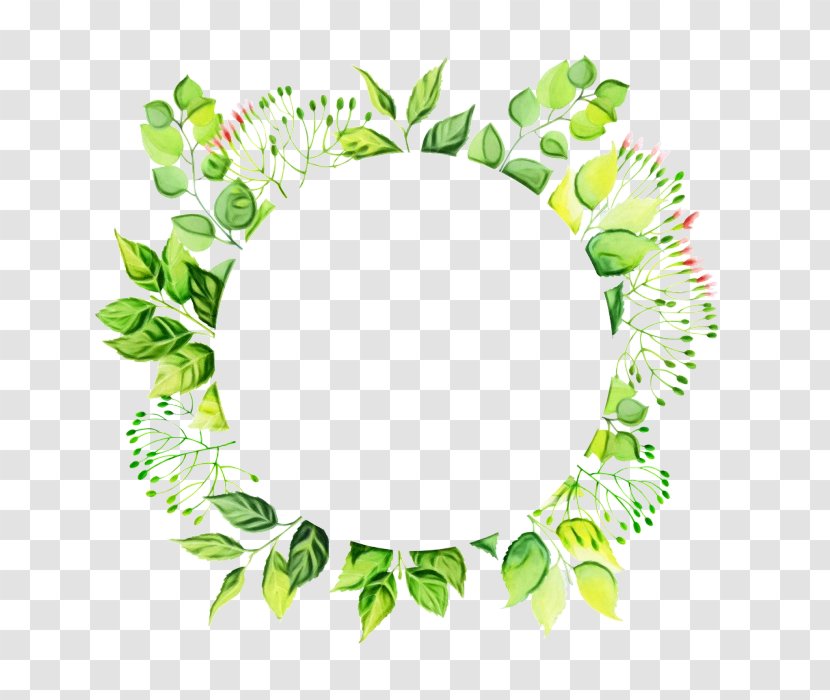 Green Leaf Watercolor - Oval Flower Transparent PNG