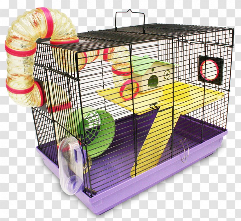 Cage Hamster Guinea Pig Rodent Mouse Transparent PNG