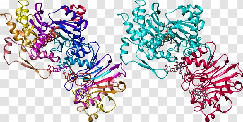 Macromolecule Protein Nucleic Acid Chemistry - Cartoon - Crizotinib Transparent PNG