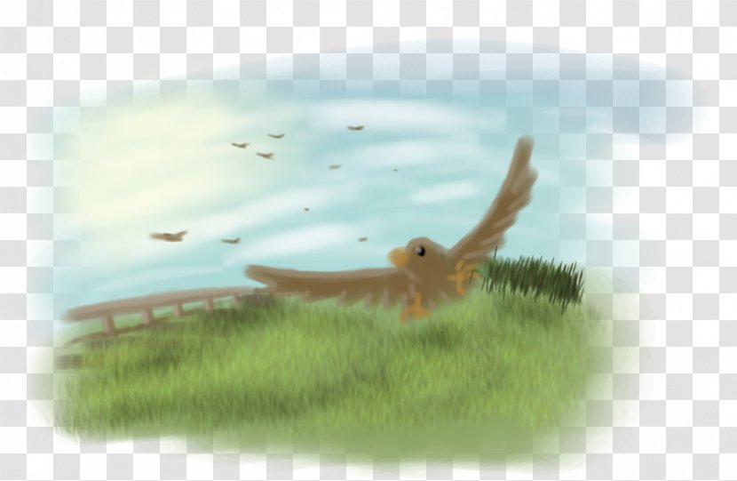 Beak Bird Of Prey Fauna Ecoregion - Organism Transparent PNG