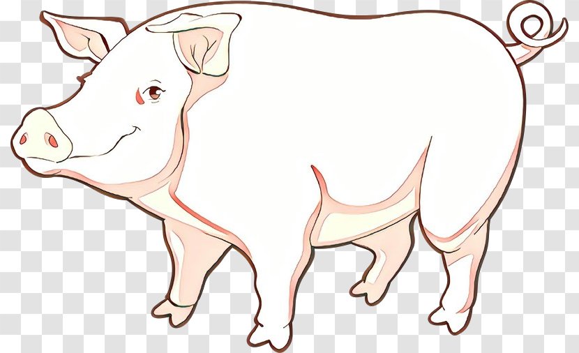Domestic Pig Line Art Suidae Snout Cartoon - Nose - Animal Figure Bovine Transparent PNG