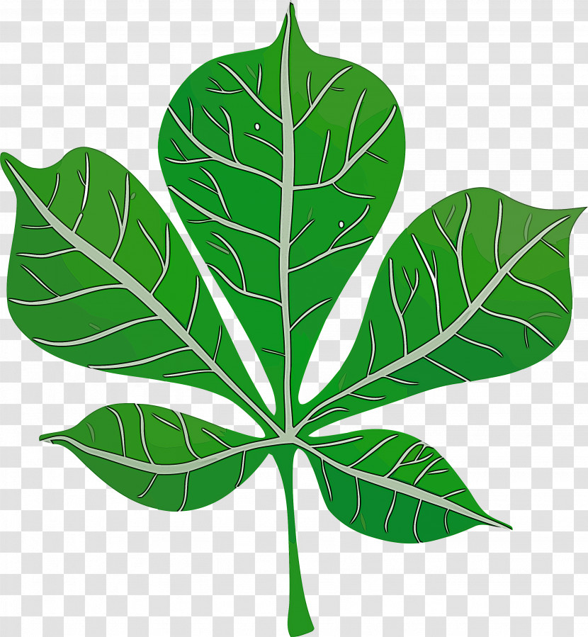 Leaf Plant Stem Herbal Medicine Plants Science Transparent PNG