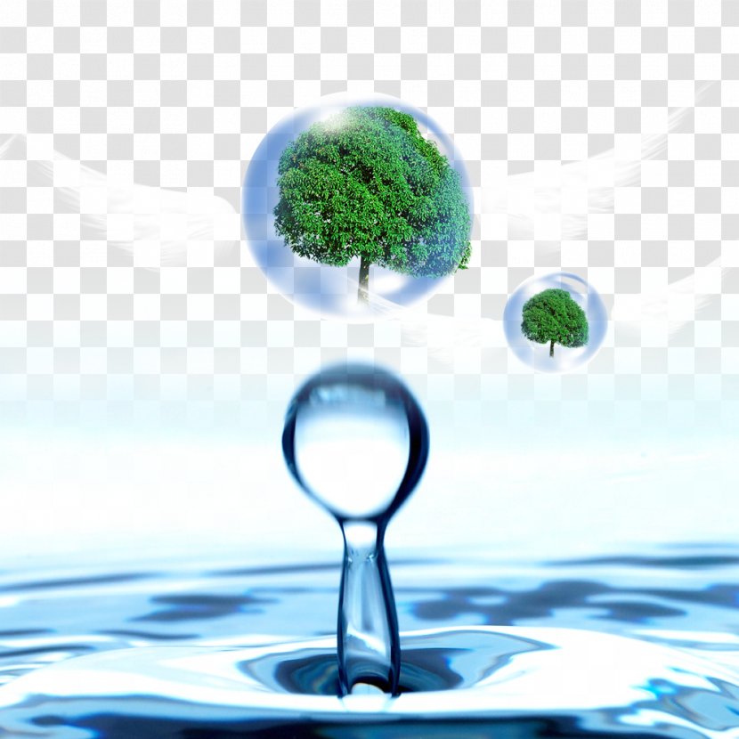 Water Drop Banner - Tap - Droplets In The Tree Transparent PNG