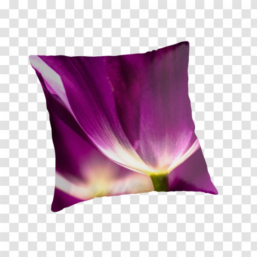 Tulip Throw Pillows Cushion Petal - Flower Transparent PNG