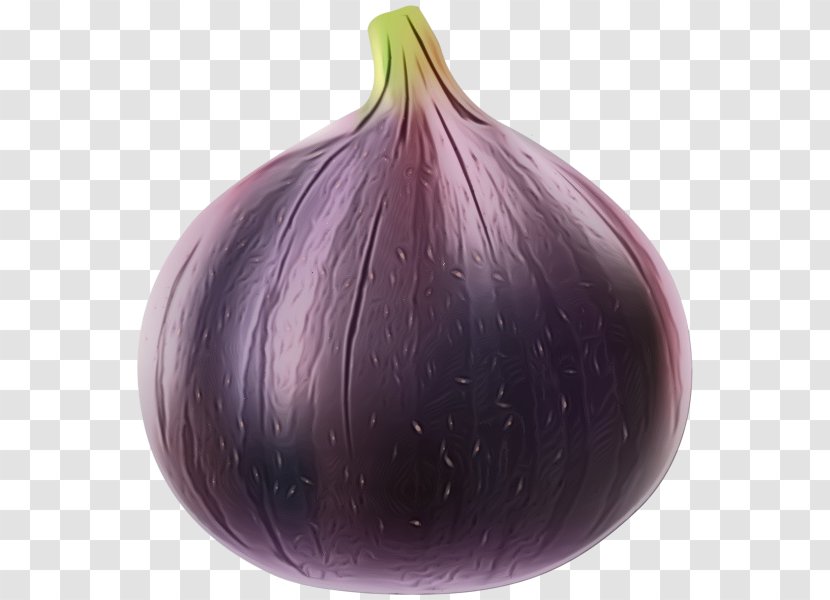 Watercolor Plant - Purple - Allium Food Transparent PNG