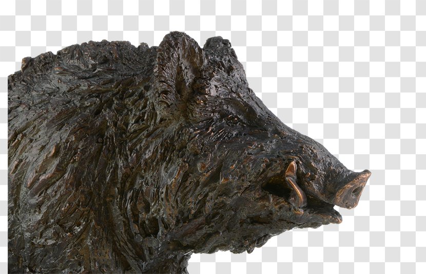 Bronze Sculpture Wild Boar Kunstmalerin & Bildhauerin Gabriele Haslinger - Timeless Transparent PNG