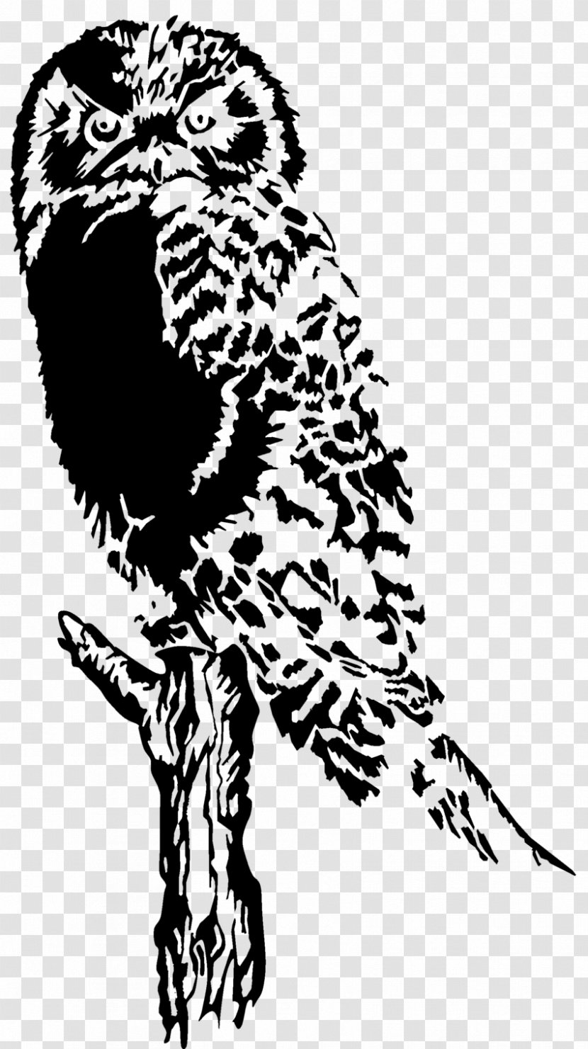 Drawing Clip Art - Line - Owls Transparent PNG