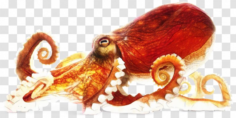 Octopus Cartoon - Sound - Giant Pacific Transparent PNG