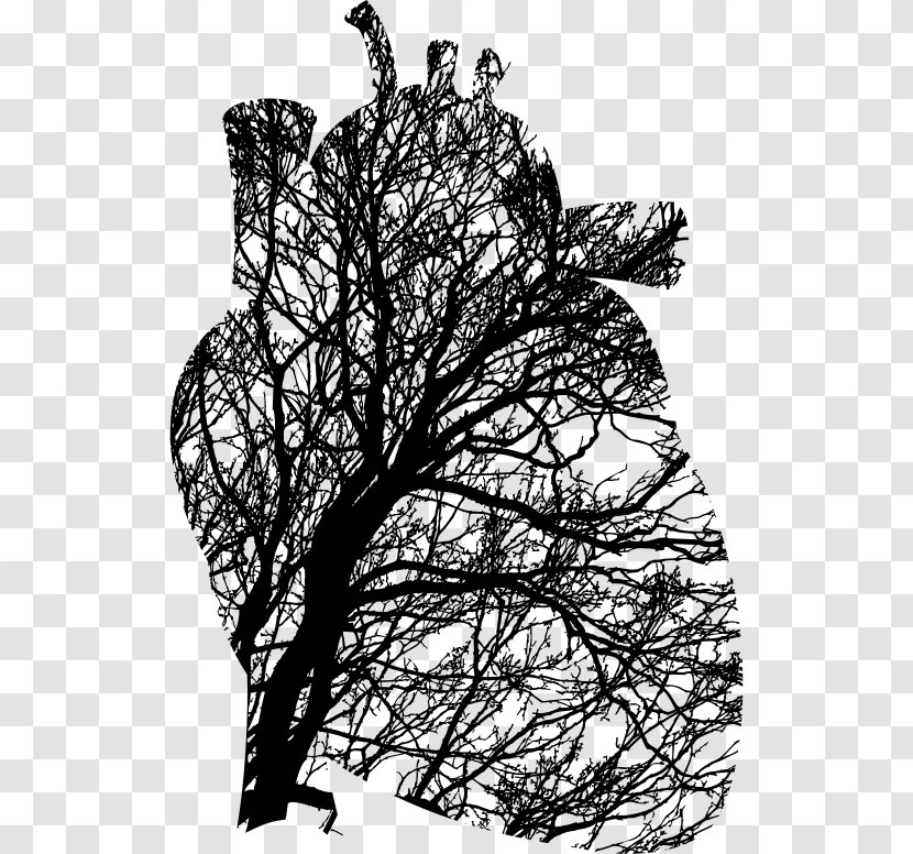 Heart Tree Branch Cardiovascular Disease Clip Art - Drawing - Birdcage And Transparent PNG