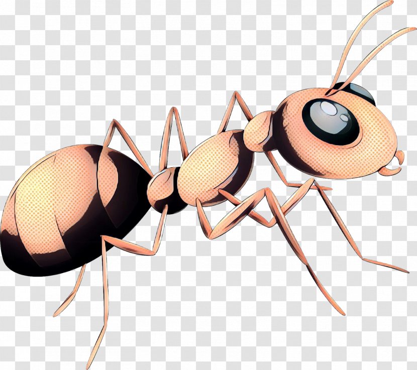 Retro Background - Pest - Blister Beetles Termite Transparent PNG