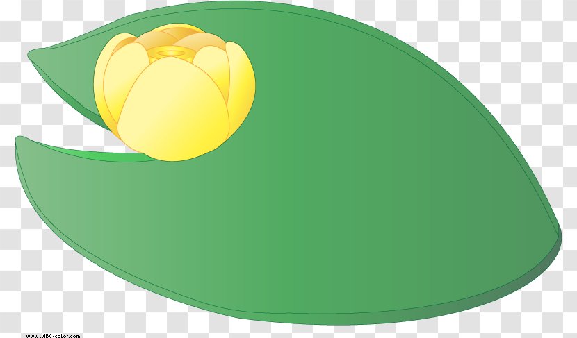 Pond Cartoon - Plant - Oval Tulip Transparent PNG