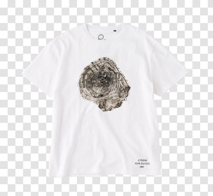 T-shirt Calvin Klein White Streetwear Cotton - Tshirt Transparent PNG