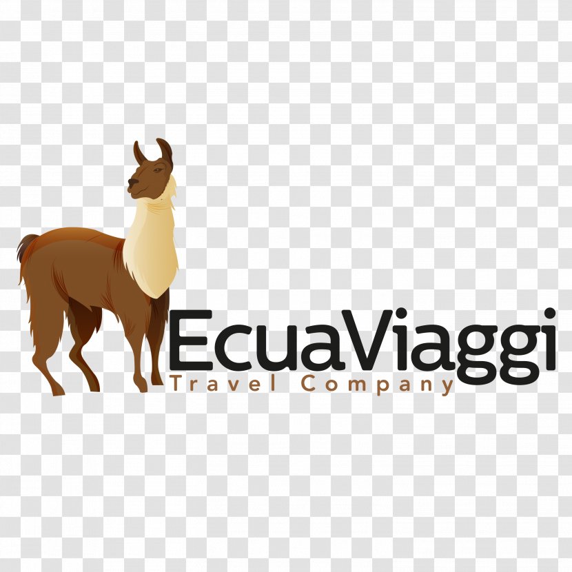 Dog Travel Agent Tour Operator Logo - Mammal Transparent PNG