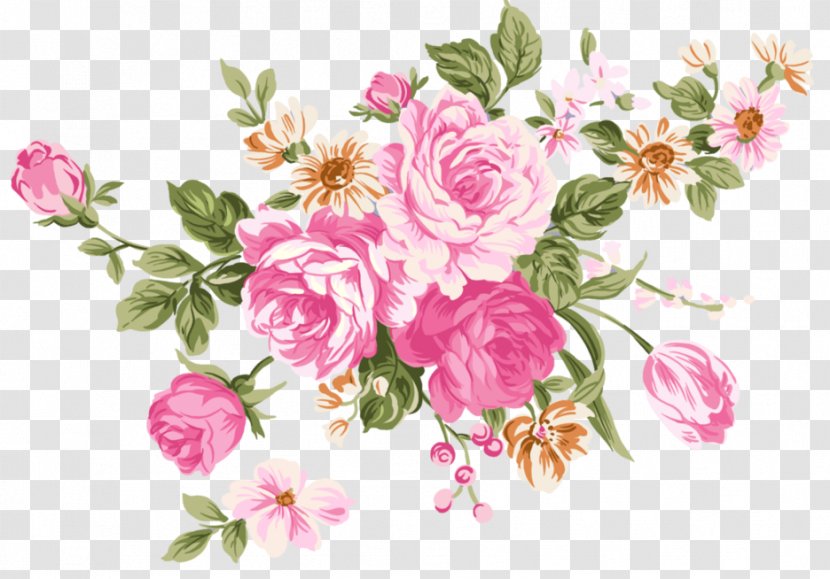 Beach Rose Flower Still Life: Pink Roses Color - Floribunda - Secret Garden Wind Transparent PNG