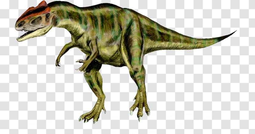 Tyrannosaurus Allosaurus Torvosaurus Acrocanthosaurus Theropods - Fictional Character Transparent PNG