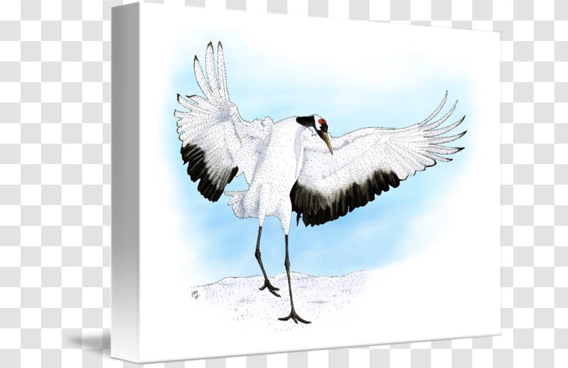 Red-crowned Crane Water Bird Beak - Japanese Transparent PNG