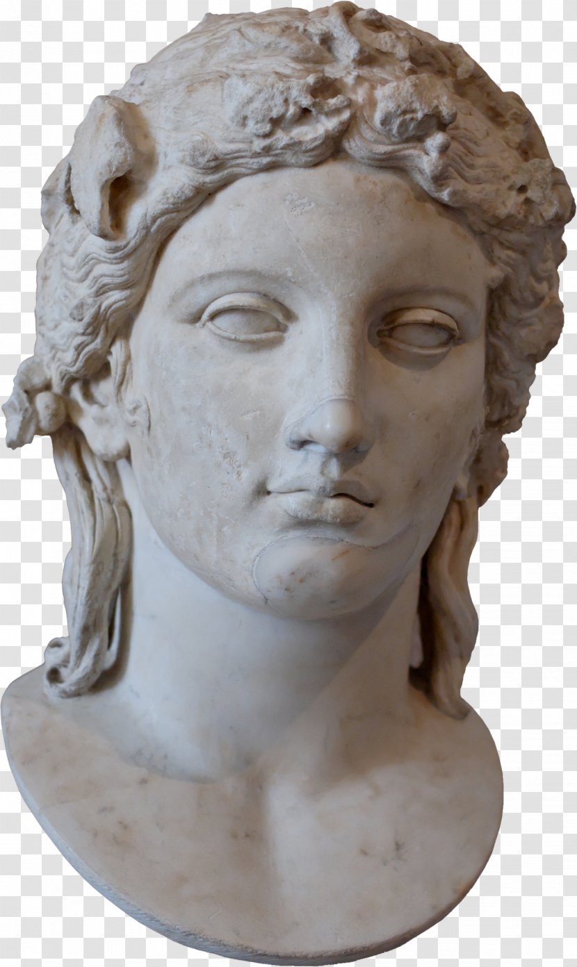 Apollo Belvedere Capitoline Museums Ancient Rome Zeus - Statue Transparent PNG