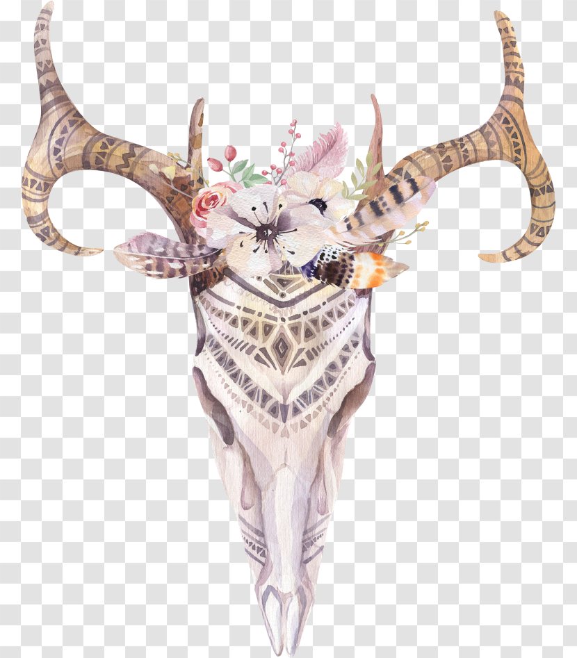 Cattle Cow's Skull: Red, White, And Blue Boho-chic Watercolor Painting - Skull Transparent PNG