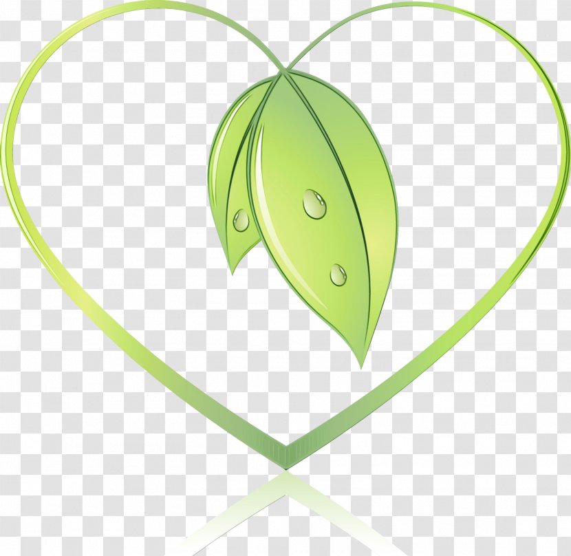 Green Leaf Background - Flower - Plant Stem Transparent PNG