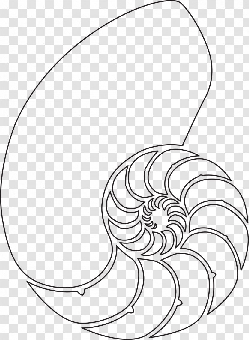 Nautilidae Seashell Drawing Clip Art - Monochrome Transparent PNG