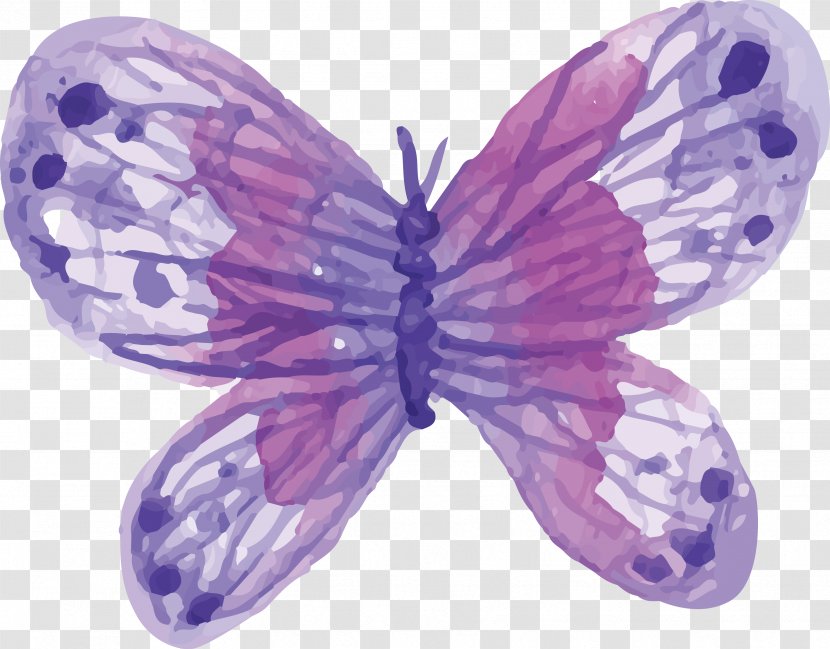 Butterfly Watercolor Painting - Wing - Purple Transparent PNG