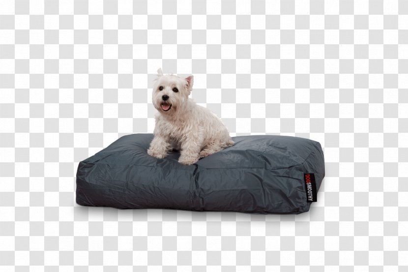 West Highland White Terrier Pillow Puppy Bed Mattress - Furniture Transparent PNG