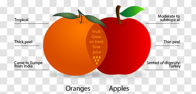 Apples And Oranges Food Fruit - Venn Diagram - Reading Writing Thinking Diagramm Transparent PNG